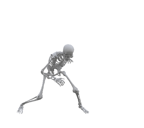 Spooky Skeleton